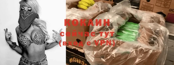 сатива Балахна