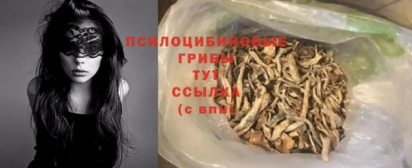 сатива Балахна