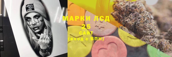 сатива Балахна