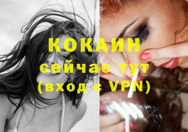 сатива Балахна