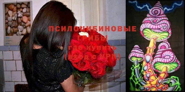 спиды Баксан