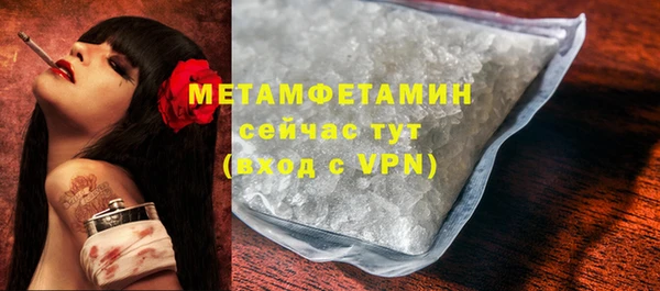 сатива Балахна
