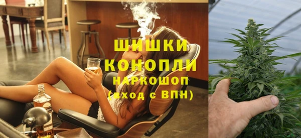 сатива Балахна