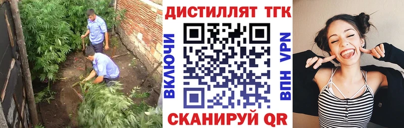 ТГК гашишное масло  магазин продажи наркотиков  Плёс 