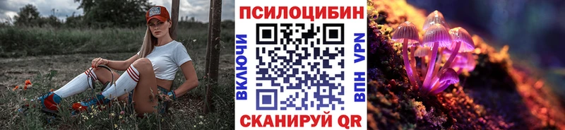 цены   Плёс  Псилоцибиновые грибы мицелий 