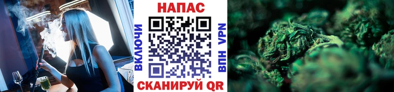 Шишки марихуана семена  купить наркоту  Плёс 